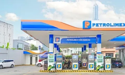 Kinh doanh xăng sinh học E10 - Bước tiến chuyển đổi xanh của Petrolimex