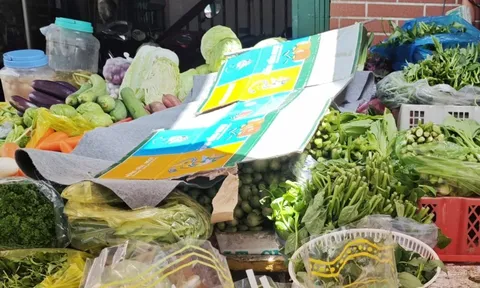 Bà nội trợ "giật mình" vì giá rau củ tăng chóng mặt