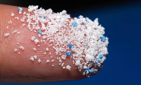 Lần đầu tiên phát hiện vi nhựa trong 1 loại hải sản nhiều người mê