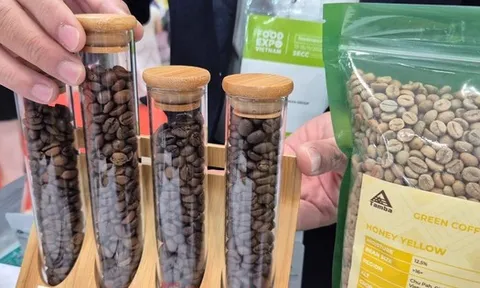 Giá cà phê hôm nay 14 -11: Tiếp tục rớt giá