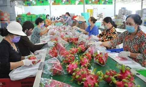 Quy định mới về truy xuất sản phẩm của Trung Quốc tác động gì tới hàng Việt?