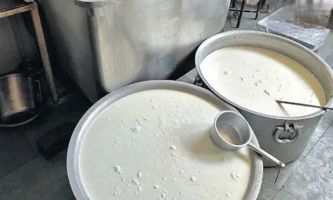 Đột kích một nhà máy lúc 9 giờ tối, công an triệt phá đường dây sản xuất sữa giả từ hóa chất, tịch thu dầu thực vật, sorbitol và máy pha trộn công nghiệp