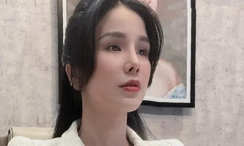 Diệp Lâm Anh xin lỗi