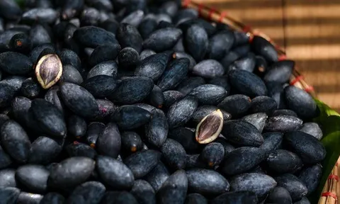 Loại quả "đen như than, đắt như thịt" nhưng nườm nượp người mua, bán đầy rẫy ở chợ Việt