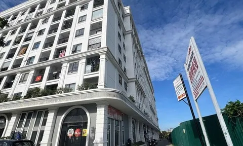 Sở Xây dựng TP Huế lên tiếng vụ chung cư nhà ở xã hội xây "lố" độ lùi