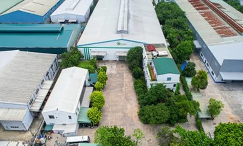 Mỹ phẩm Cỏ Mềm và hành trình 10 năm xây dựng thương hiệu