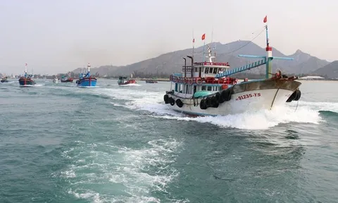 Kiểm soát tàu cá và thông tin ngư dân trên ứng dụng VNeID