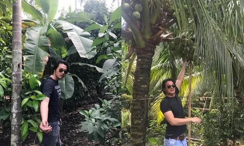 Tình thế đáng lo của nam tài tử Việt vỡ nợ 20 tỷ đồng