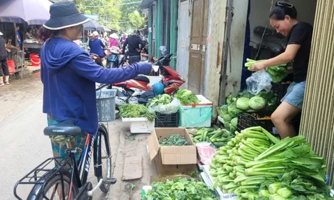 Mưa lũ lịch sử: Giá rau xanh tăng cao, nhiều người đi mua xăng dầu, Bộ Công Thương có chỉ đạo?