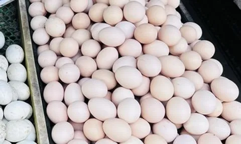 Bất chấp giá tăng mạnh, bà nội trợ vẫn chọn mua trứng gà vì một lý do
