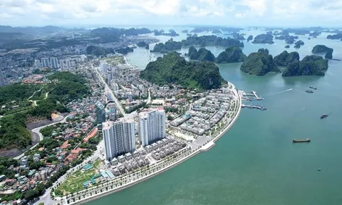 Loạt “đại gia” TQ tìm cơ hội rót vốn, nhắm vào các lĩnh vực tỷ đô tại tỉnh tăng trưởng top đầu VN