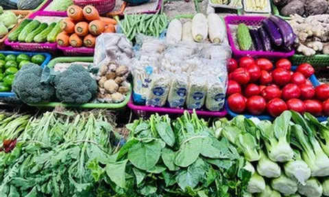 Giá rau xanh có loại 180.000 đồng/kg, tôm hùm chỉ còn 200.000 đồng/kg