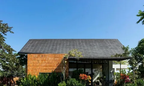 Nhà mái dốc 160m2 giữa cánh đồng lúa đẹp như tranh vẽ