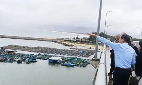 Gia Lai mời gọi đầu tư siêu dự án nhà máy điện gió hơn 48.000 tỉ đồng