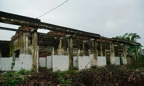 Hà Tĩnh: Cận cảnh phòng khám bỏ hoang nằm giữa khu “đất vàng” trở thành nơi chăn nuôi gia súc