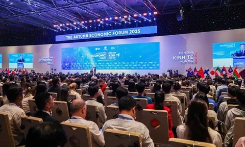 Chuyên gia Trung Quốc, Hàn Quốc chỉ ra con đường ngắn nhất để TP HCM thành siêu đô thị