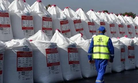Hàng trăm nghìn tấn hàng từ Nga, Lào cùng đổ bộ Việt Nam: Nước ta sử dụng gấp 3 lần trung bình thế giới, chi gần 2 tỷ USD nhập khẩu