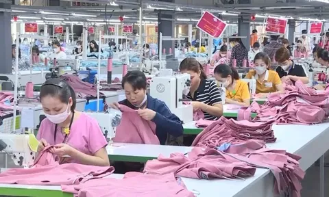 Thương mại Mỹ - Ấn gặp trắc trở, một ngành hàng chủ lực của Việt Nam lại được gọi tên