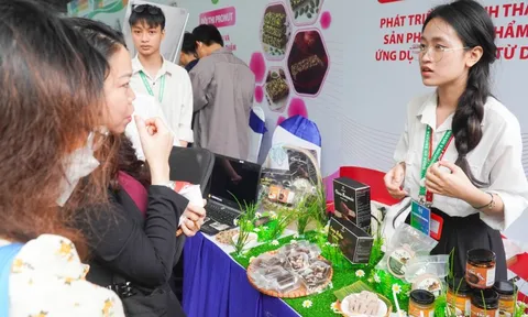 Trình làng nhiều món giò chả, kho quẹt, bánh... "độc lạ" từ dế