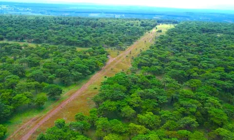 Chấp thuận chủ trương đầu tư sân golf nghìn tỷ ở Gia Lai