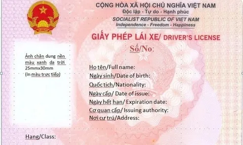 Có bắt buộc phải đổi Giấy phép lái xe mới màu hồng ngay trong năm 2025?