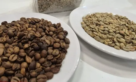 Giá cà phê hôm nay 17-12: Lao dốc dù Brazil ra hàng nhỏ giọt