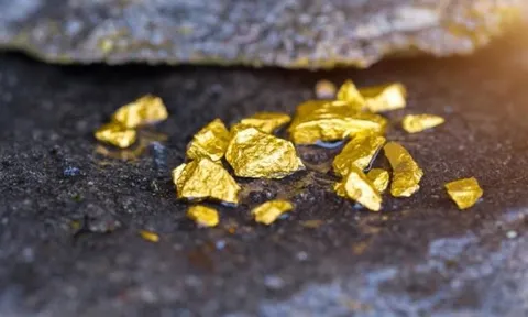 Phát hiện hơn 20.000 kg vàng trị giá 58.000 tỷ đồng bị bỏ ngoài hố rác