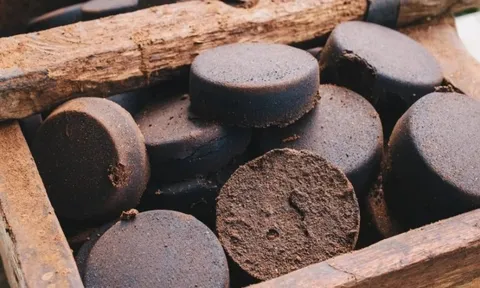 Phát hiện có thể thay đổi tương lai ngành xử lý chất thải: biến rác thành 'bộ lọc', loại bỏ hơn 98% kim loại nặng khỏi nước ô nhiễm, tiết kiệm tiền tỷ