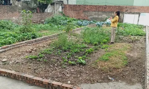 Từ 1/1/2026, chính thức giảm 70% tiền chuyển đất nông nghiệp lên đất thổ, người dân cần chú ý