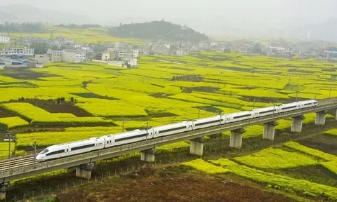 Rút ruột công trình, thuê thầu phụ trái phép, làm giả giấy tờ: Loạt nhà thầu đường sắt cao tốc Trung Quốc bị xử phạt