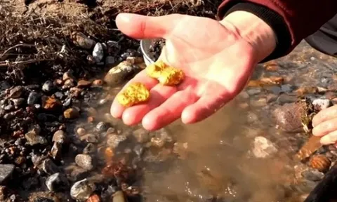 Lão nông phát hiện cả núi vàng trong hang, đem đến ngân hàng đổi lấy tiền thì cảnh sát ập đến