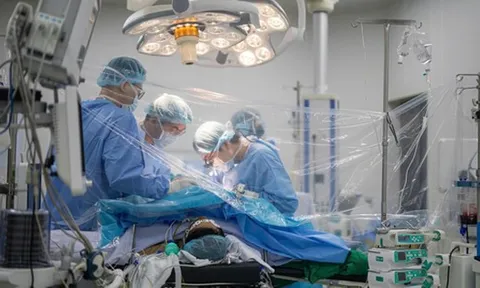 Sinh viên hiến gan cứu thầy