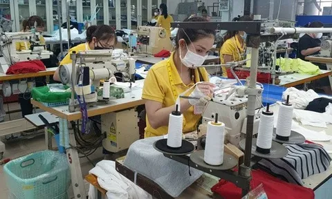 Doanh nghiệp có bắt buộc phải thưởng Tết cho nhân viên?