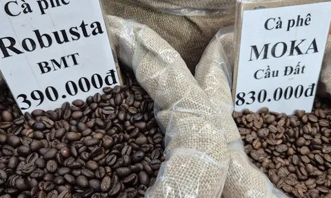 Giá cà phê hôm nay 24-12: Việt Nam là nguồn cung cà phê số 1 cho Tây Ban Nha