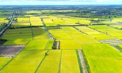 Giá đất nông nghiệp vài trăm nghìn đồng/m², quá thấp so với đất ở: Có nên tăng?