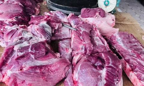 Giá lợn hơi áp sát 70.000 đồng/kg, thịt lợn ngoài chợ lại đua tăng