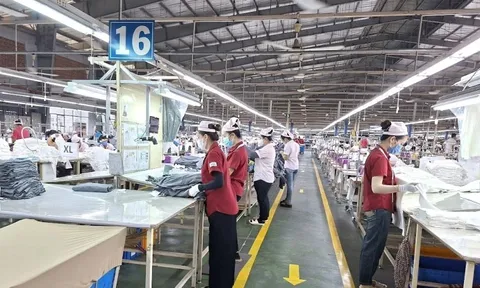 Doanh nghiệp FDI lâu đời nhất TPHCM sắp đóng cửa