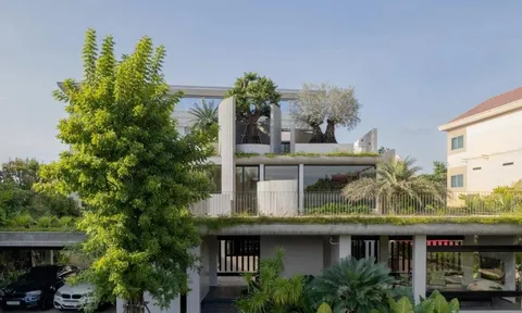 Biệt thự 3 tầng với kiến trúc mở, sống xanh giữa đô thị nhiệt đới