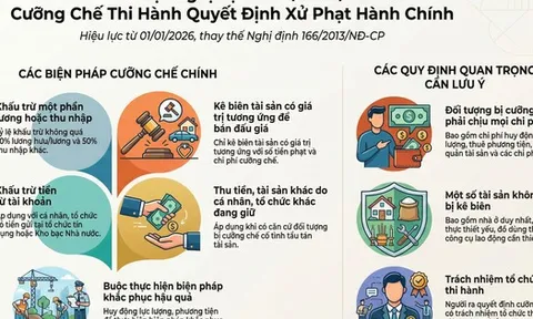 Sẽ truy tài sản các thành viên trong hộ nếu hộ kinh doanh không đủ tiền nộp phạt hành chính