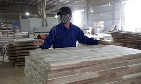 Vượt nhiều ‘chông gai’, thế mạnh Việt băng băng lên đỉnh lịch sử