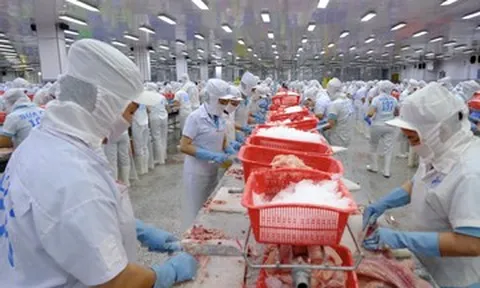 Sau cú 'chao đảo', xuất khẩu thủy sản sang Trung Quốc lập kỷ lục 2,3 tỷ USD