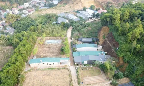 Lào Cai: Đất rừng Văn Phú bị phân lô có hợp pháp ?