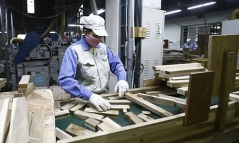 Đưa hàng lâm sản sang hơn 160 quốc gia và vùng lãnh thổ, DN 'ôm' về 18,5 tỷ USD