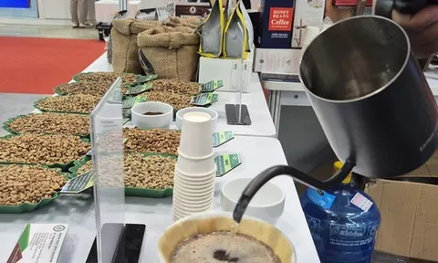 Giá cà phê hôm nay 31-12: Robusta tăng phiên thứ 5