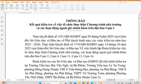 Công bố kết luận kiểm tra nhiều trường phổ thông ở TPHCM