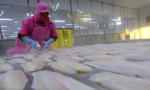 Xuất khẩu bội thu 70 tỷ USD và những con số kỷ lục của ngành nông nghiệp