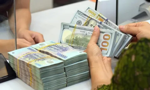 Năm 2025, một số người Việt trong nước nhận được khoảng 10,5 tỷ USD