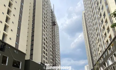 TPHCM ngăn ngừa cò hồ sơ, trục lợi chính sách nhà ở xã hội