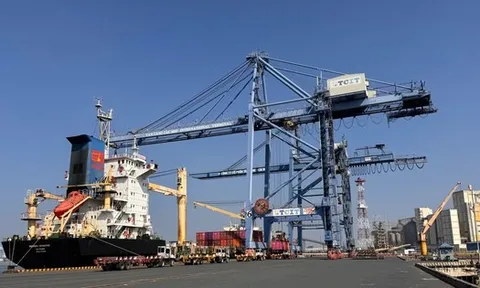 Cái Mép - Thị Vải liên tục đón tàu container trọng tải lớn trong ngày đầu năm 2026