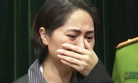 Lỗ hổng trong vụ 'Về đây bốn cánh chim trời'